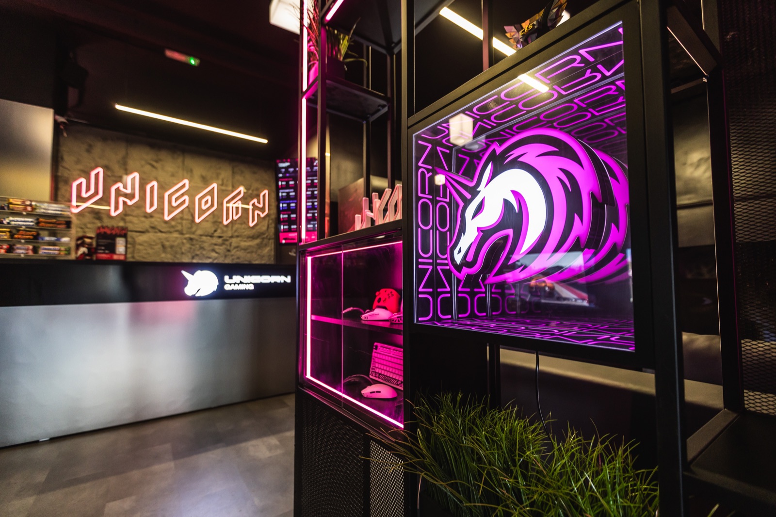 Ресепшен компьютерного клуба Unicorn Gaming ЗИЛ